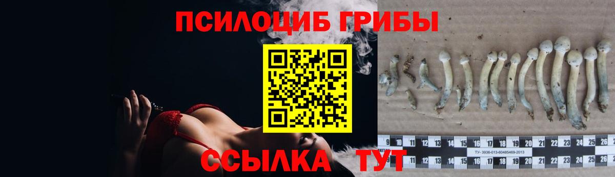 Псилоцибиновые грибы Cubensis  Вход с VPN  Салават 